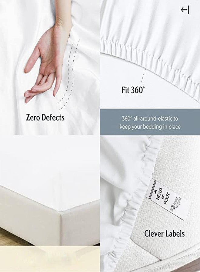 سايلنت نايت تنورة سرير بلون المريمية السادة، مقاس كوين، مزينة بكشكشة، 800 خيط، قطن مصري 100%، طولها 18 بوصة، بتصميم كشكشة عند الزوايا، مقاومة للتجاعيد والبهتان. - Image 5