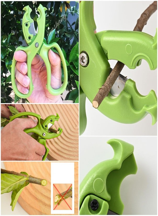 TorSor Garden Flower Scissors Safety Garden Clipper Flowers Pruning Shears with Rose Thorn Stripper Tool Thorn Remover Flower Stem Cutter Shears Flower Clippers for Rose Stem Fresh Flowers Stems - Image 4