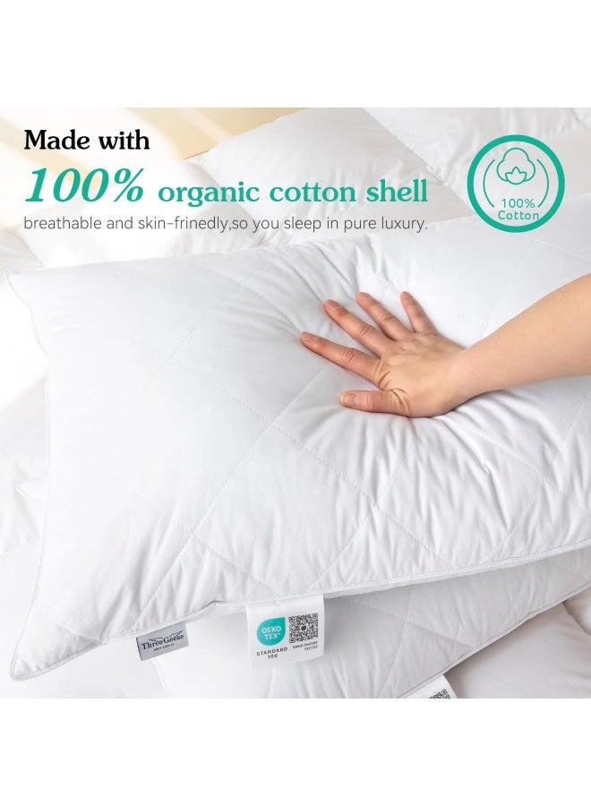 Three Geese Set Of 2 White Goose Feather Bed Pillows 600 Thread Count Egyptian Cotton Medium Firm Soft Support Queen Size White Solid Queen Size 2 Pillows - Image 2