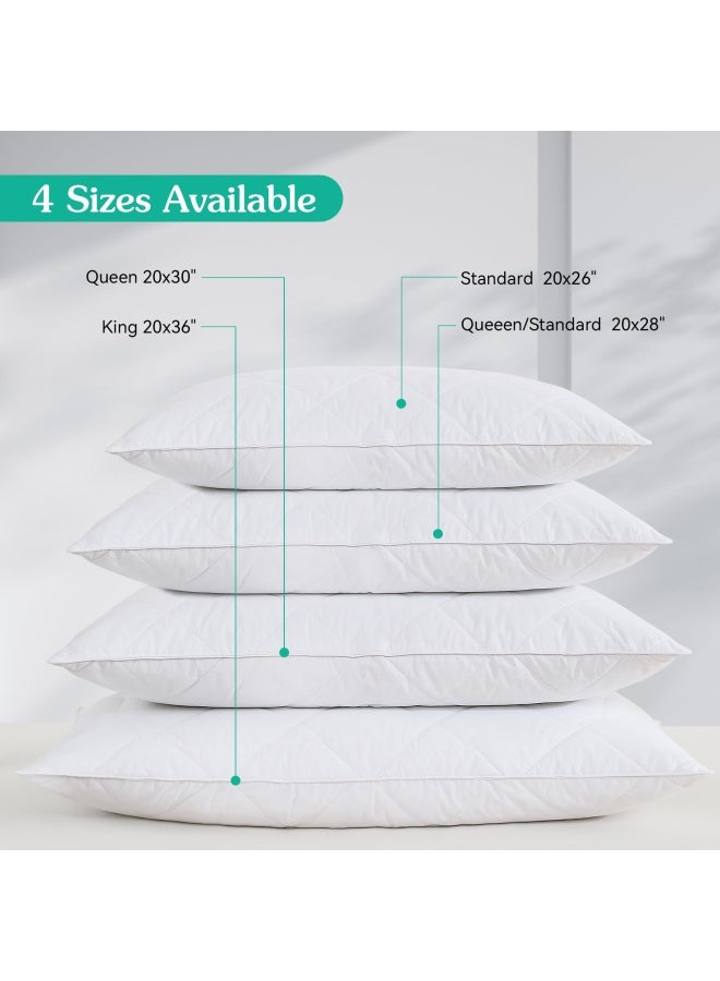 Three Geese Set Of 2 White Goose Feather Bed Pillows 600 Thread Count Egyptian Cotton Medium Firm Soft Support Queen Size White Solid Queen Size 2 Pillows - Image 4