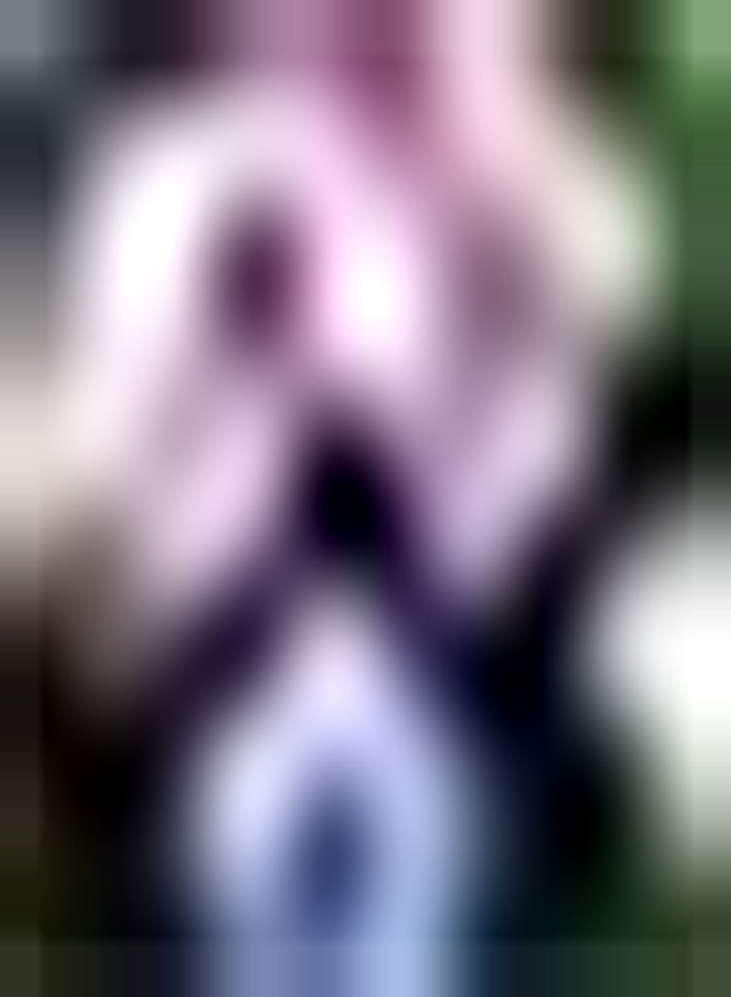 جي جوت 50 قطعة من الألوان الجميلة ذات الألوان الزاهية ذات الألوان الزاهية في الهواء الطلق حديقة Pflanzen verströmt einen bezaubernden Duft zieht Bienen Schmetterlinge an - Image 2