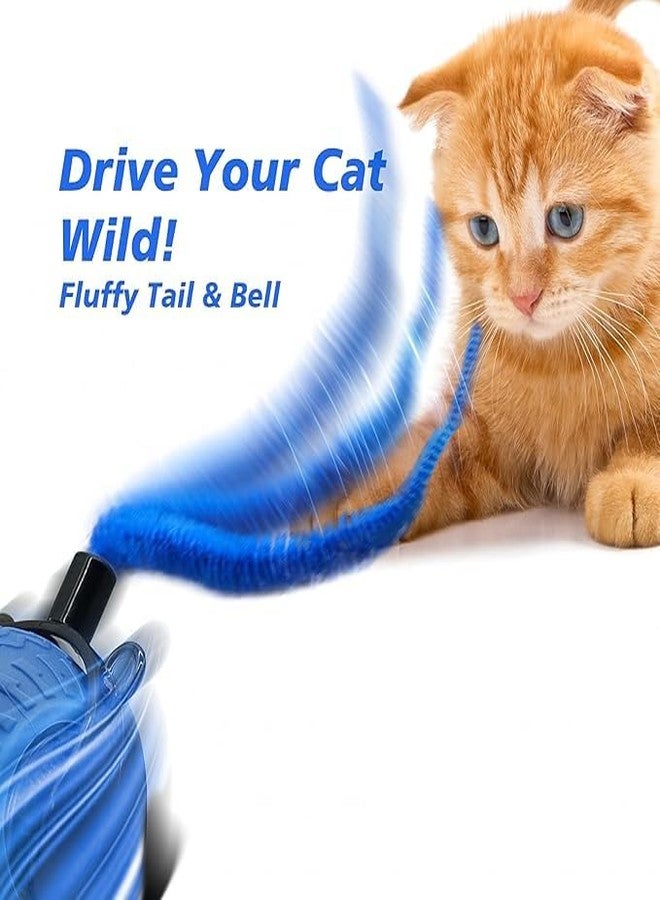 KUTKUT Interactive Cat Toy for Indoor Cats, Speedy Ball with Tail, Automatic Moving Cat Balls for Bored Indoor Adult Cats, 360°Automatic Rolling Ball Toy, Two Speed Adjustment (Blue) - Image 4