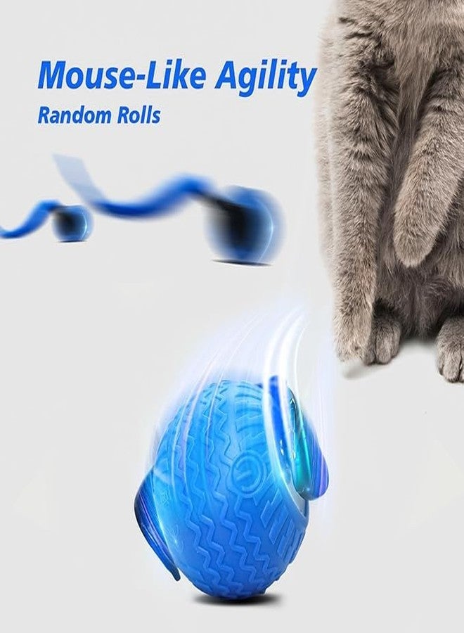 KUTKUT Interactive Cat Toy for Indoor Cats, Speedy Ball with Tail, Automatic Moving Cat Balls for Bored Indoor Adult Cats, 360°Automatic Rolling Ball Toy, Two Speed Adjustment (Blue) - Image 2