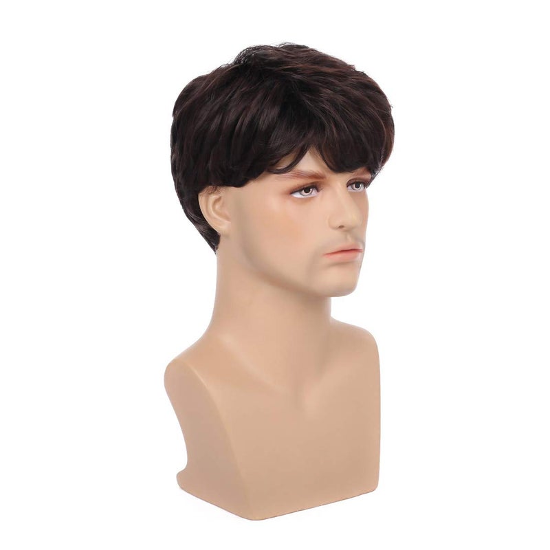 Swiking Men Brown Short Wig for Male Layered Daily Natural Short Fluffy Synthetic Cosplay Party Daily Costume Hair Full Wigs - Image 4