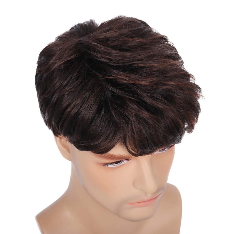 Swiking Men Brown Short Wig for Male Layered Daily Natural Short Fluffy Synthetic Cosplay Party Daily Costume Hair Full Wigs - Image 5