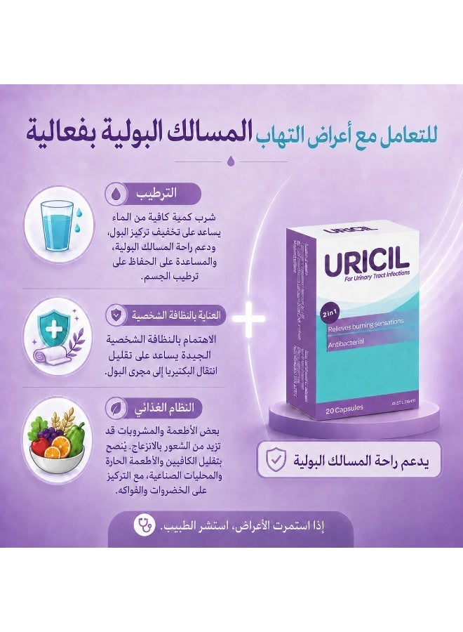 كبسولات يوريسيل 2 في 1 لدعم المسالك البولية، 20 كبسولة - Image 4