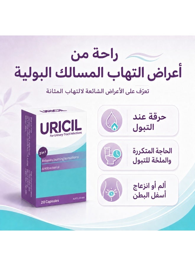 كبسولات يوريسيل 2 في 1 لدعم المسالك البولية، 20 كبسولة - Image 2