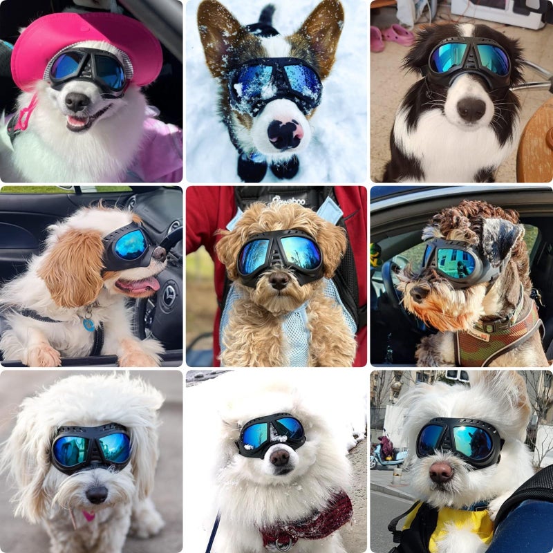 PETLESO Dog Goggles for Small to Medium Breeds, Small Dog Sunglasses UV Protection Windproof Snowproof, Outdoor Driving/Riding/Hiking Pet Eyes Protection, Soft Frame Adjustable Straps, Blue Lens - Image 2