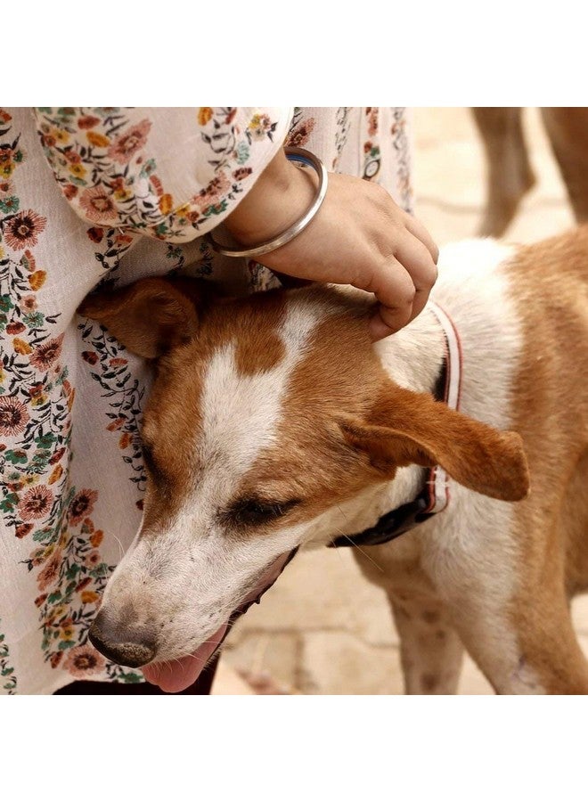 Heads Up For Tails HUFT Foundation Reflective Collar for Streeties - Pack of 3 - Image 5