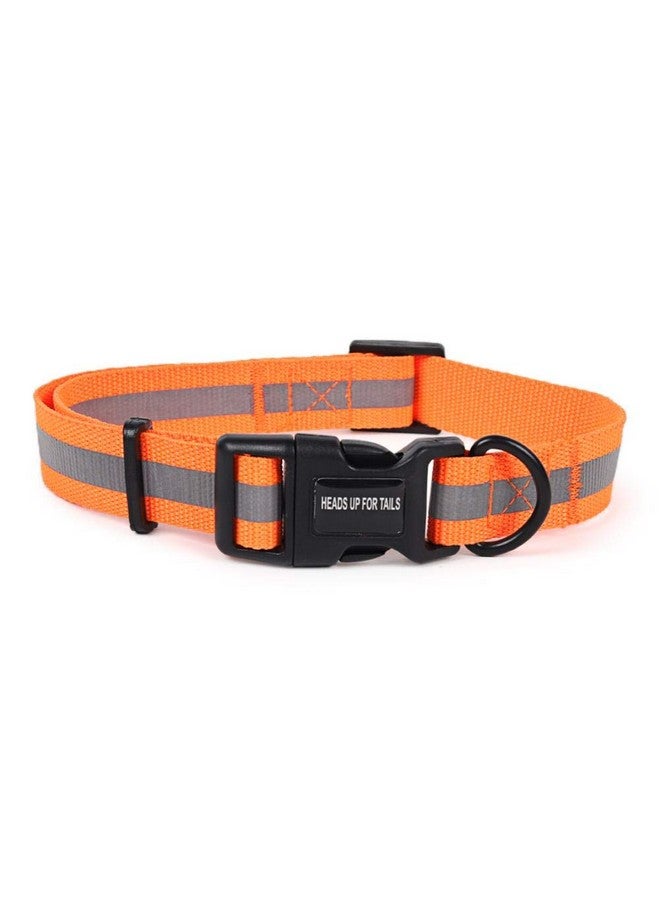 Heads Up For Tails HUFT Foundation Reflective Collar for Streeties - Pack of 3 - Image 1