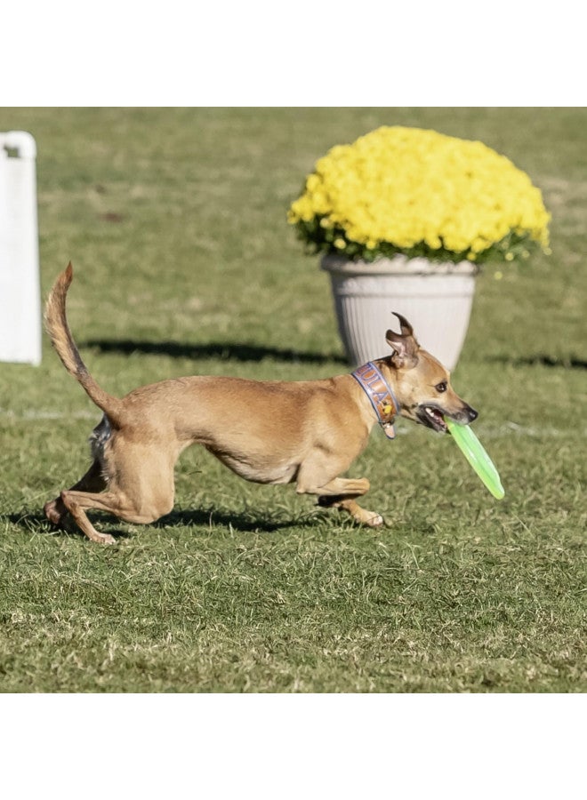 Hyperflite Jawz Pup World Toughest Competition Dog Disc Puncture Resistant Frisbee 7 Inch Lemon Lime - Image 4