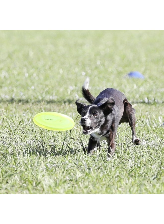 Hyperflite Jawz Pup World Toughest Competition Dog Disc Puncture Resistant Frisbee 7 Inch Lemon Lime - Image 2