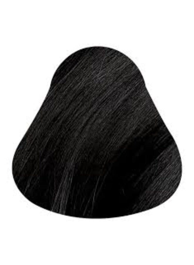 ناتشورتينت صبغة شعر ناتورتينت 1N أسود أبنوسي 170 مل - Image 2