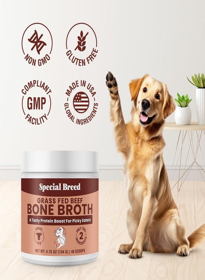 Special Breed Bone Broth Powder for Dogs and Cats - Dog and Cat Food Topper, Grass Fed Beef Broth Supplement, 4.75 oz - Image 4
