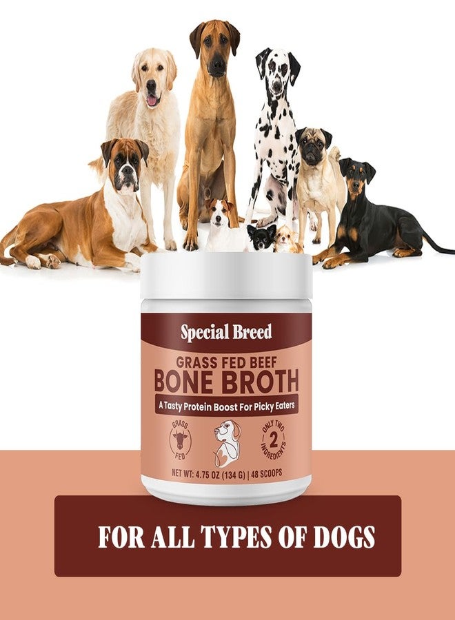 Special Breed Bone Broth Powder for Dogs and Cats - Dog and Cat Food Topper, Grass Fed Beef Broth Supplement, 4.75 oz - Image 5