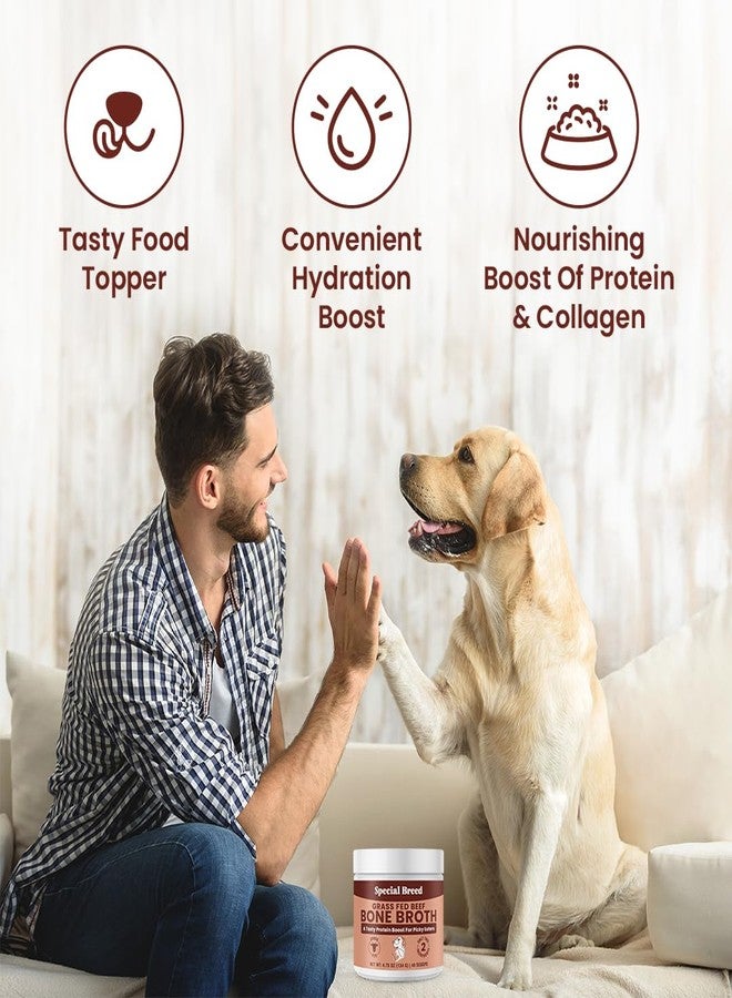 Special Breed Bone Broth Powder for Dogs and Cats - Dog and Cat Food Topper, Grass Fed Beef Broth Supplement, 4.75 oz - Image 3