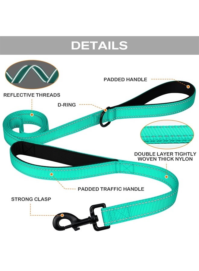 Joytale Double Handle Dog Leash, Double-Sided Reflective Dog Leashes for Night Safety, Heavy Duty Leash for Large and Extra Large and Medium Breed Dogs Outside Walking,6FT,Teal - Image 1