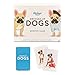 Ridley's Ridleys Dressed Up Dogs Memory Game Includes 50 Matching Cards and Instructions Memory Card Game Featuring WellDressed Dogs Fun for All Ages Makes a Great Gift Idea - Image 2