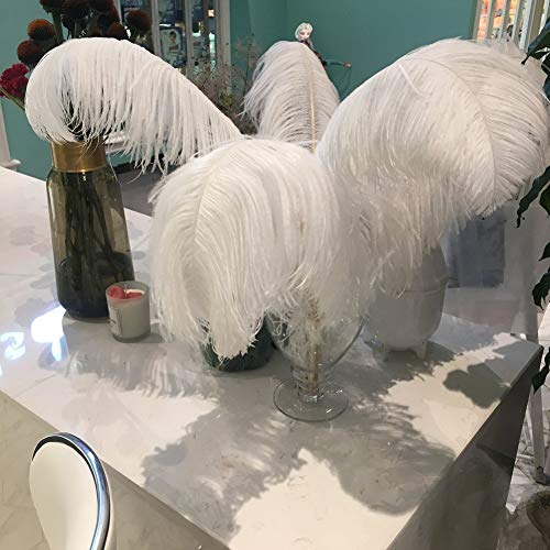Sowder 810inch2025cm Ostrich Feathers Plume for Wedding Centerpieces Home Decoration Pack of 10pcsWhite - Image 1