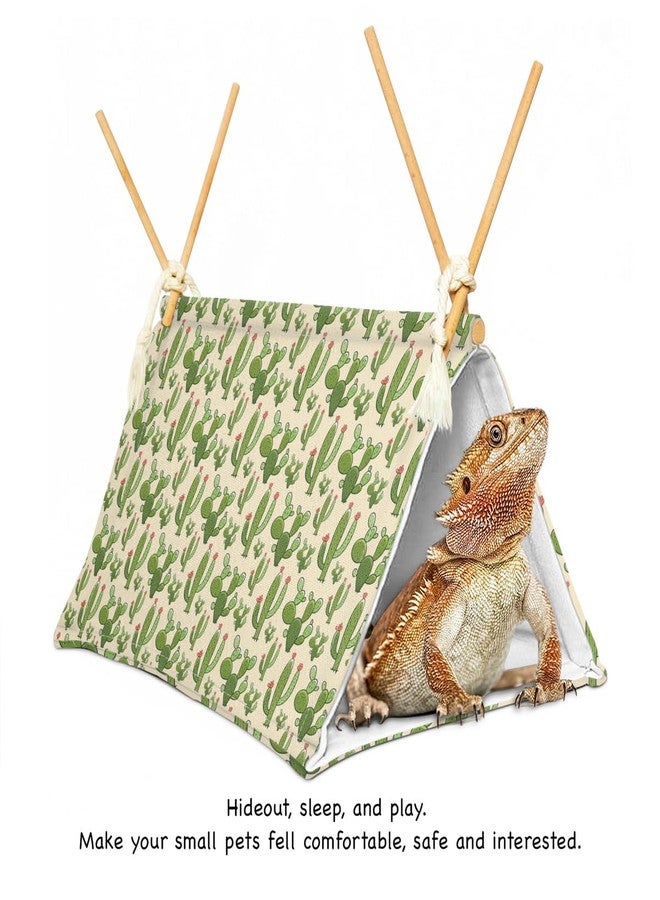 Aipush Bearded Dragon Reptile Sleeping Bed Tent Hide Tank Decor Accessories Habitat Shelter for Lizard Bearded Dragon Leopard Gecko (Cactus 1) - Image 2