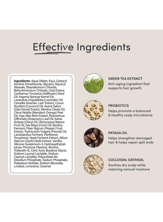 Jupiter Jupiter Physician-Formulated Scalp Balancing Conditioner For Dry, Itchy, Oily, Flaky Scalp, Sulfate Free, Natural Fragrance - Vegan - Color Safe & Paraben Free Conditioner For Women & Men  - Image 3