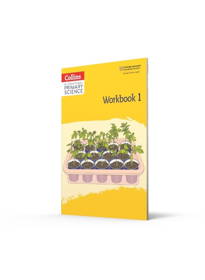 International Primary Science Workbook: Stage 1 - Image 2