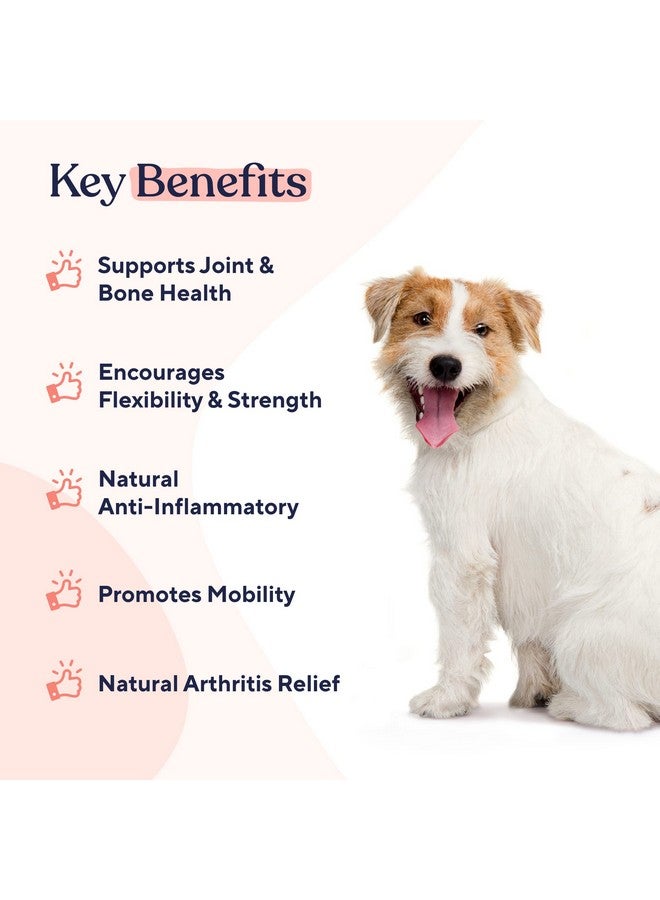 علكات لينة للورك والمفاصل للكلاب - العناية الكاملة بالمفاصل | مضادة للالتهابات | تخفيف التهاب المفاصل | القوة والمرونة | التعافي الطبيعي | مع الجلوكوزامين + الكوندرويتين - Image 2