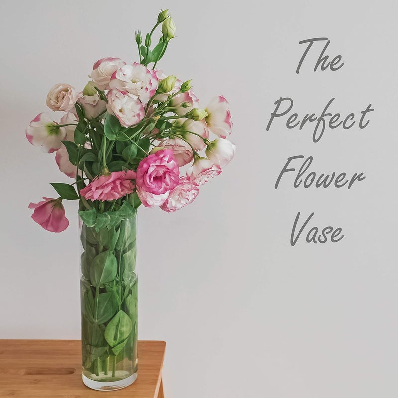 CYS EXCEL Clear Glass Cylinder Vase (H:16" D:4") | Multiple Size Choices Glass Flower Vase Centerpieces | Hurricane Floating Candle Holder Vase - Image 5