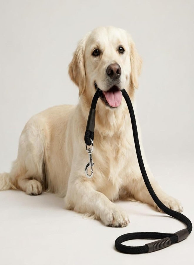 KittuPet Heavy Duty Nylon Dog Leash with Anti Slip Padded Handle, Highly Reflective Rope for Medium and Large Dogs, Training Leash, 5 ft Long Leash for Pet Behaviour Control - Image 2