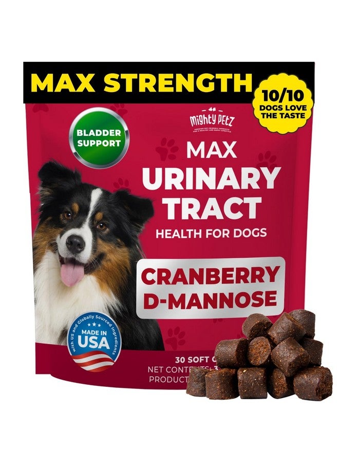 مايتي بيتز ماكس كرانبيري لعلاج التهاب المسالك البولية لدى الكلاب - مكمل غذائي فائق القوة بالتوت البري للكلاب + د-مانوز. يُحسّن التحكم بالمثانة لدى الكلاب. مضغ للعناية بالمسالك البولية ودعم الكلى. - Image 1