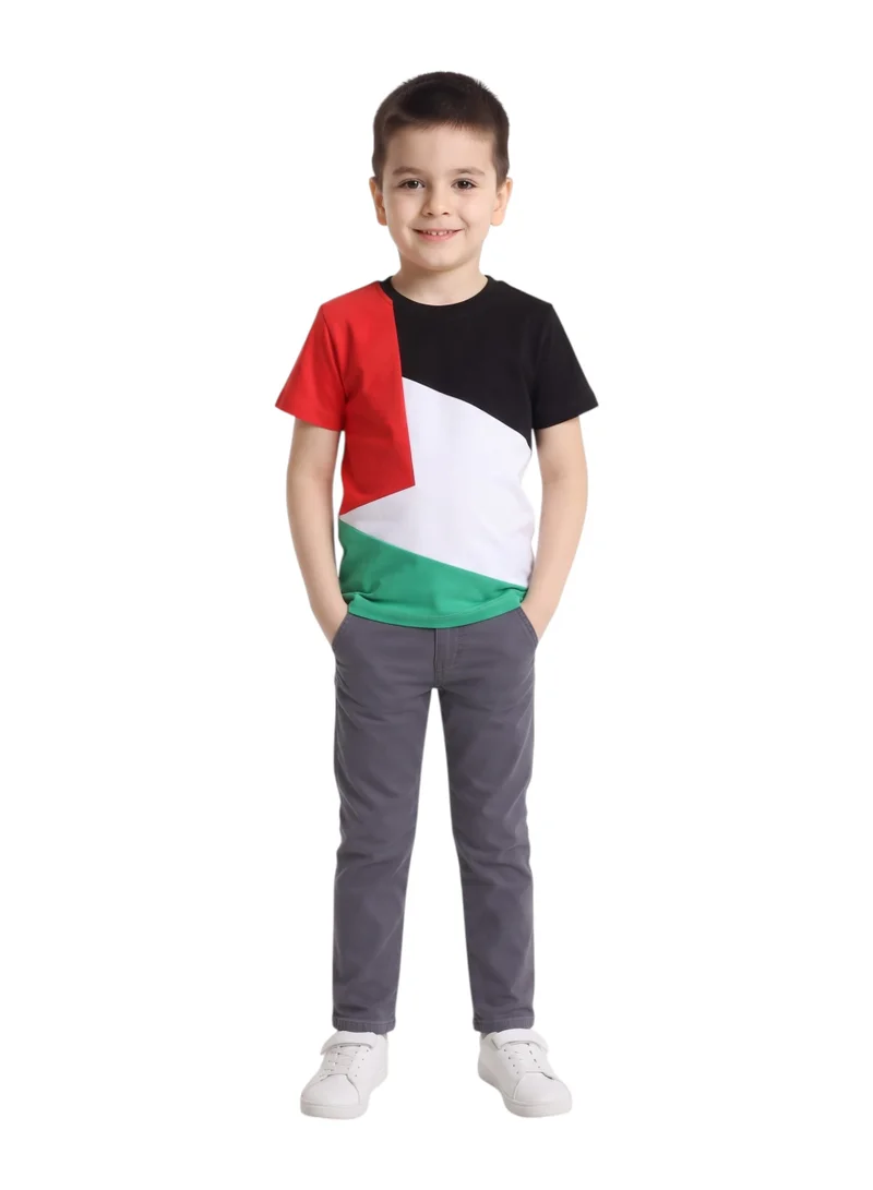 بيداني Kids Palestinian Flag Colorblock T-Shirt