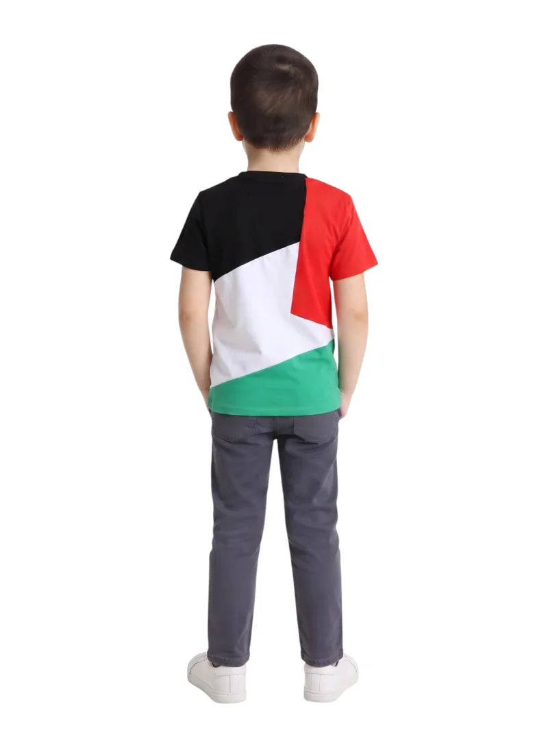 بيداني Kids Palestinian Flag Colorblock T-Shirt