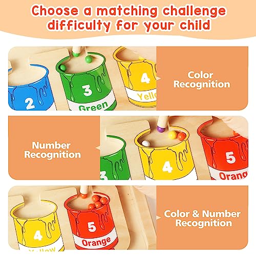 Letapapa Magnetic Color and Number Maze, Montessori Toys for 3+ Year Old, Wooden Magnet Board Counting & Color Sorting Toddler Activities, Educational Fine Motor Skills Toys Gifts for 3-5 Years Old Boys Girls - Image 5