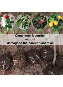 Arabest 9 PCS Air Layering Propagation Kit with Zip Ties, Reusable Half Transparent Grafting Ball, Air Layering Pods Clear, Plant Rooting Grafting Box for Fast Propagation Plants (S+M+L)  - Image 4