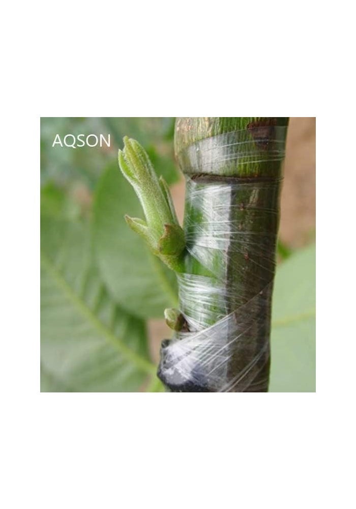 AQ AQSON AQSON Grafting Tape - Green Stretchable Floral Tape for Plant Repair and Grafting - Image 5