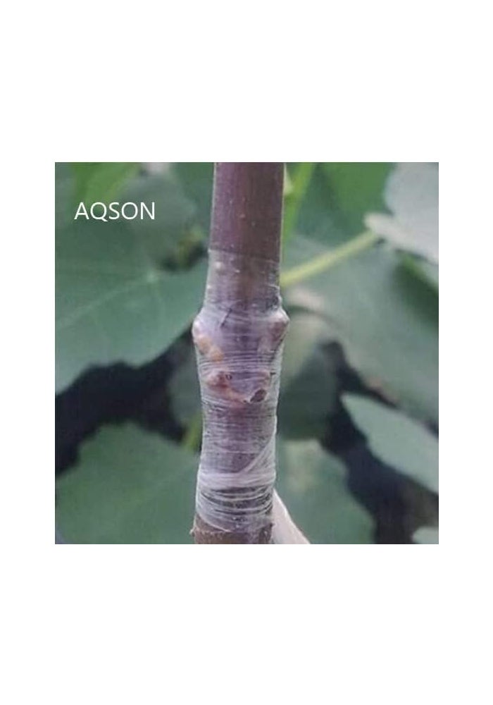 AQ AQSON AQSON Grafting Tape - Green Stretchable Floral Tape for Plant Repair and Grafting - Image 4