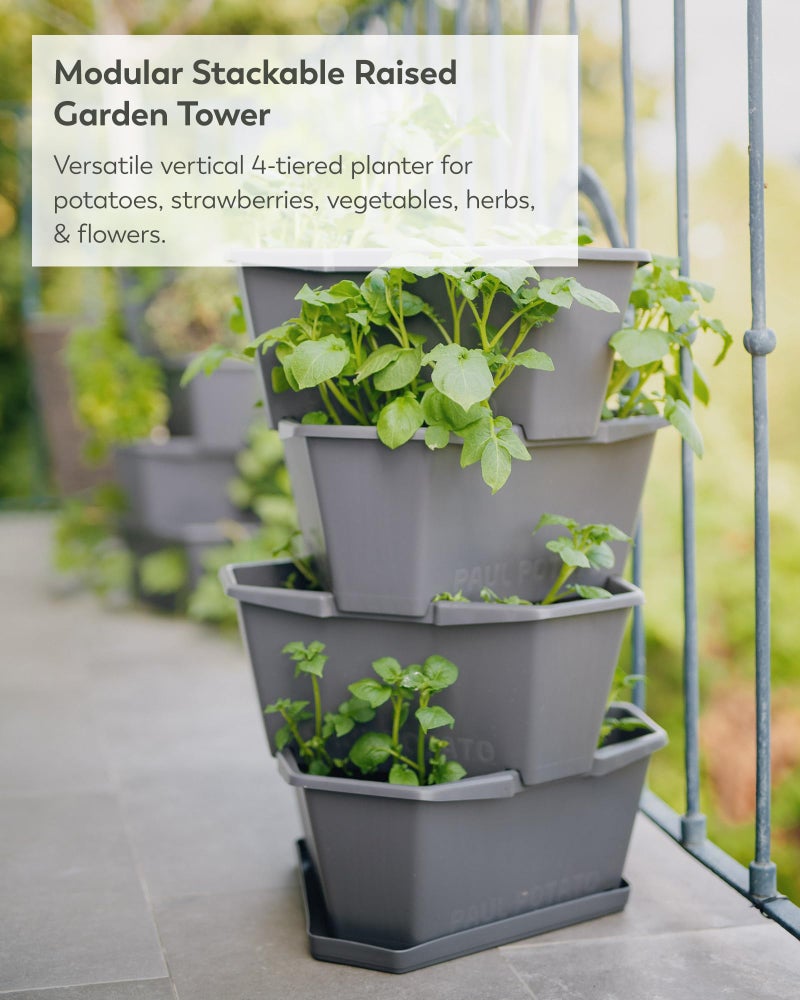 BUZZY Seeds Starter Stackable Vertical Planter â€“ 4-Level Raised Garden Tower for Potatoes, Strawberries, Vegetables & Flowers (Gray) - Image 2