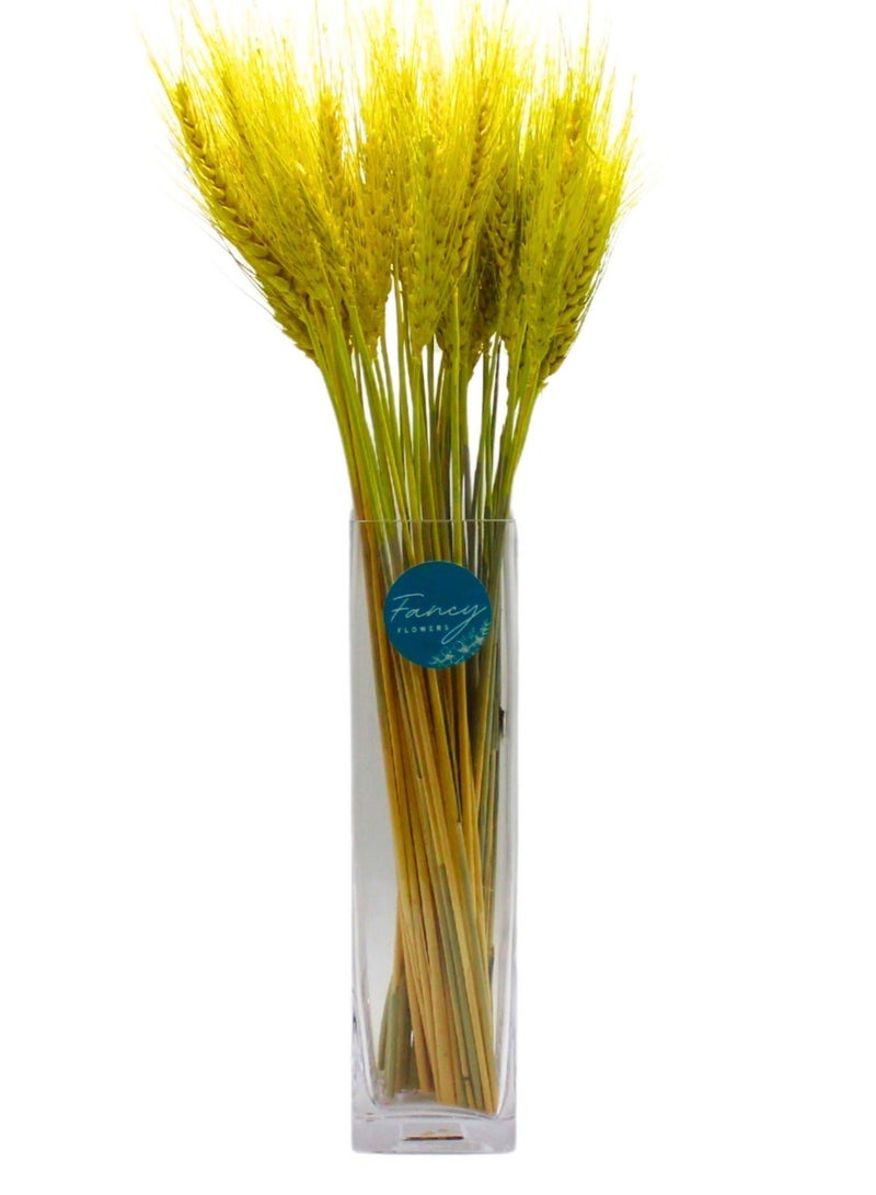FANCY FLOWERS Dried Wheat Flowers Sheaves Grass Bouquet (Yellow, 100 Pieces) - Image 1