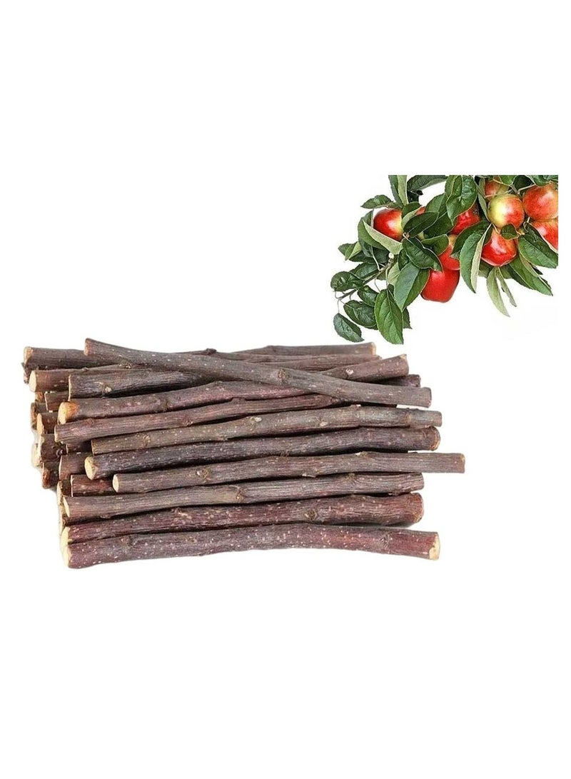 500 جرام غصن التفاح الطبيعي وجبات خفيفة للحيوانات الصغيرة - Image 1