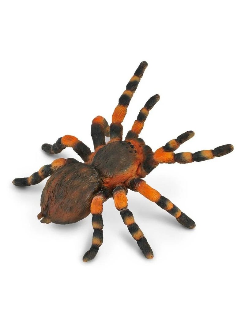Collecta - Mexican Redknee Tarantula Spider - 88338