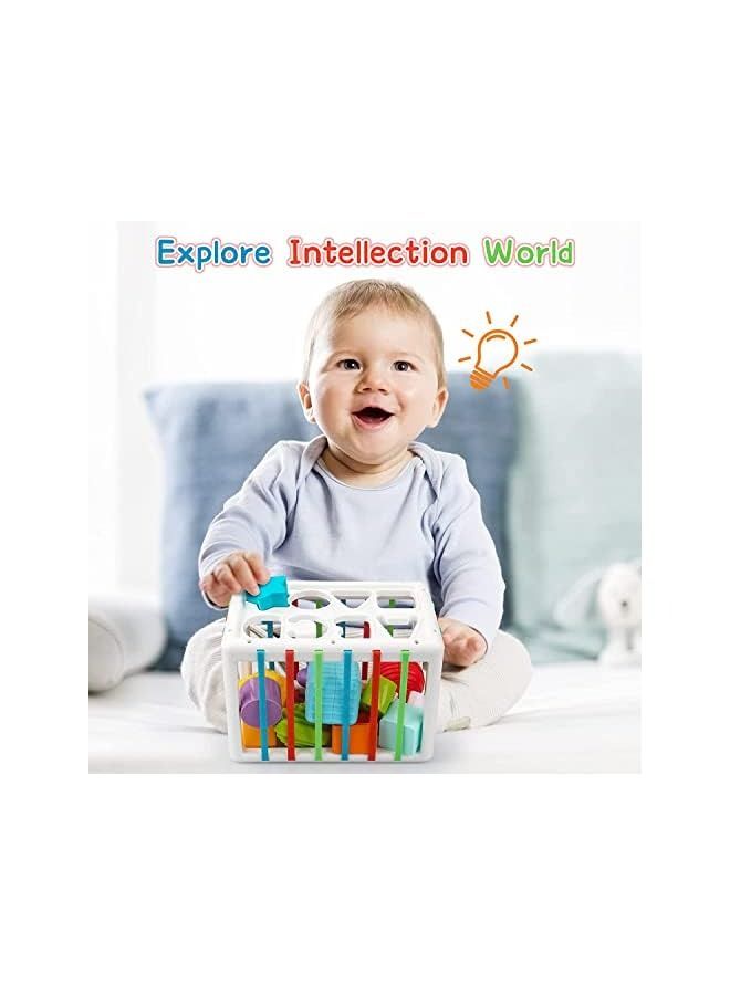 IAF Shape Sorter Toys ABCD, Montessori Toys for 12Months+,, Sensory Bin for Babies 12 18 Months with Colorful Cube, Sensory Toddler Toys Age 1-2 Preschool Educational Toddlers Toys Gift for Baby - Image 3