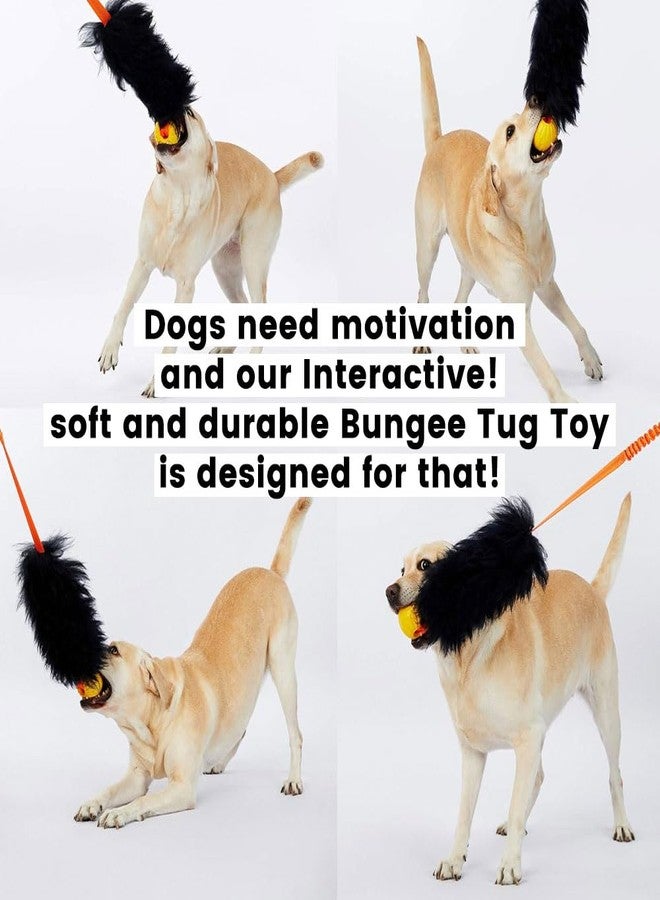 HOWGO Dog Rope Toy,Dog Bungee Chaser Toy 100% Sheepskin,Sheep Smell Tug Toy for All Breeds (Green, Long Without Ball) - Image 2
