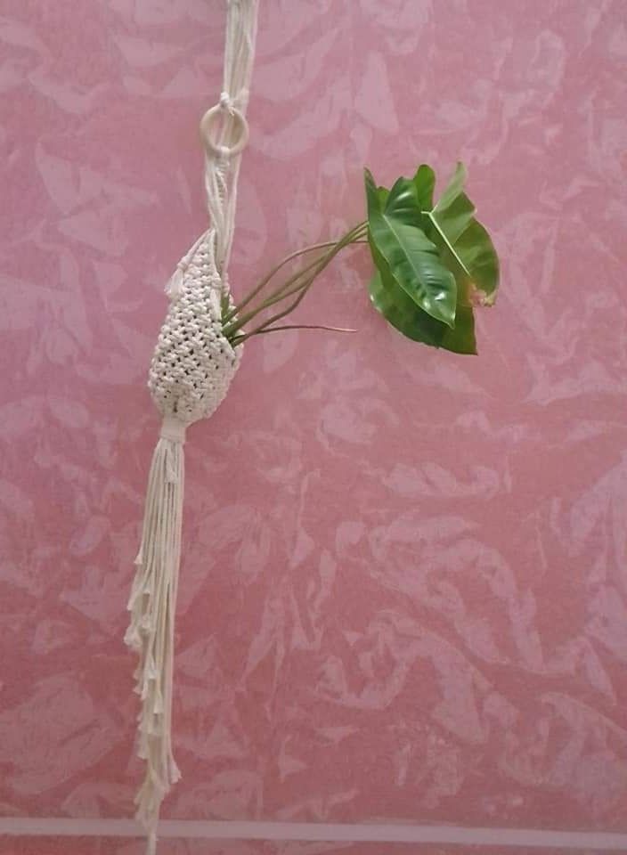 macrame sanu handmade macrame bird nest plant hanger  - Image 1