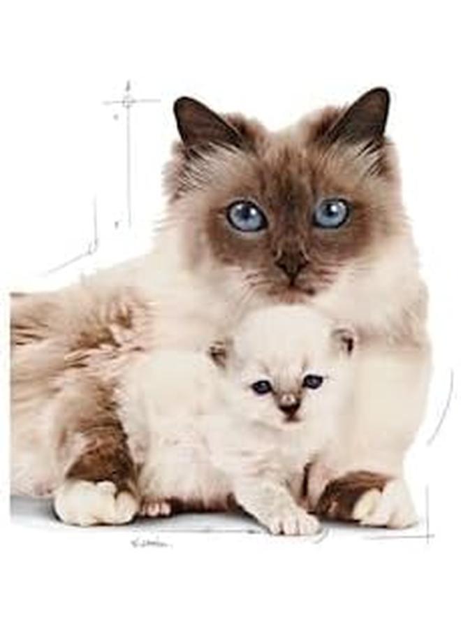 رويال كانين التغذية الصحية للأم والقطط 400 جم طعام جاف للقطط والقطط الصغيرة - Image 4