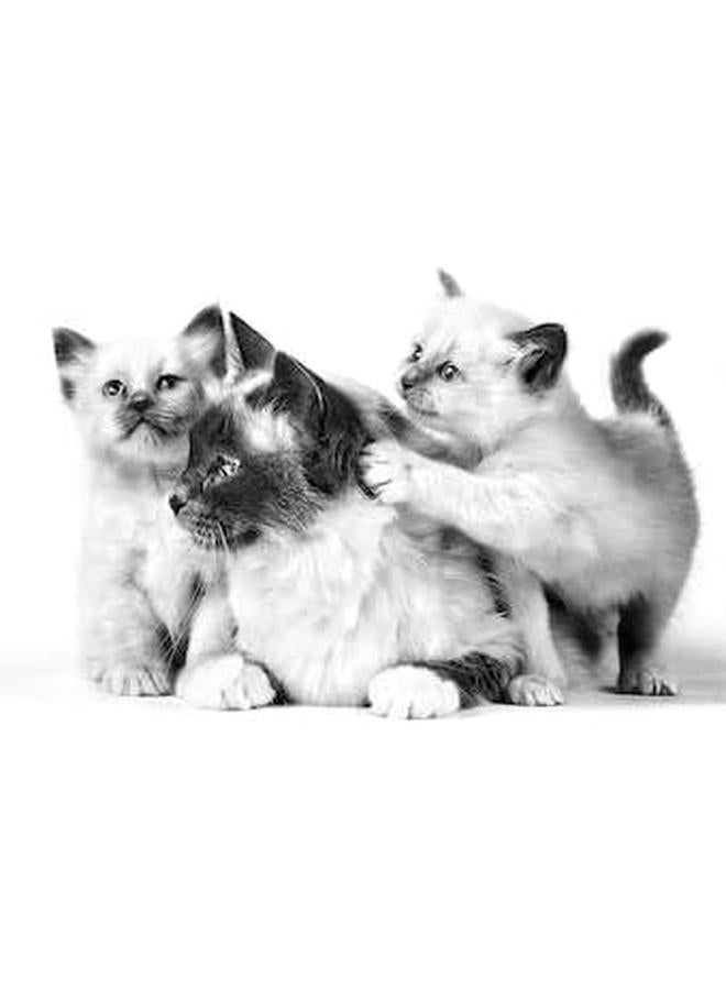 رويال كانين التغذية الصحية للأم والقطط 400 جم طعام جاف للقطط والقطط الصغيرة - Image 3