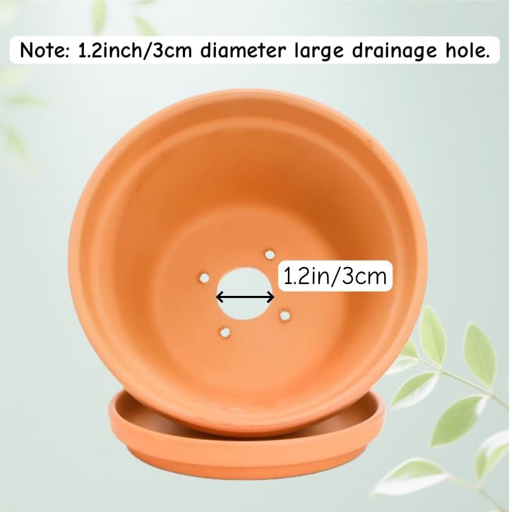 Mezchi 2 Pack 8 Inch Shallow Succulent Terracotta Pots with Drainage Hole and Saucer, Clay Plant Pots for Indoor and Outdoor Planter, Bowl Planter for Orchid, Cactus, Flowers - Image 4