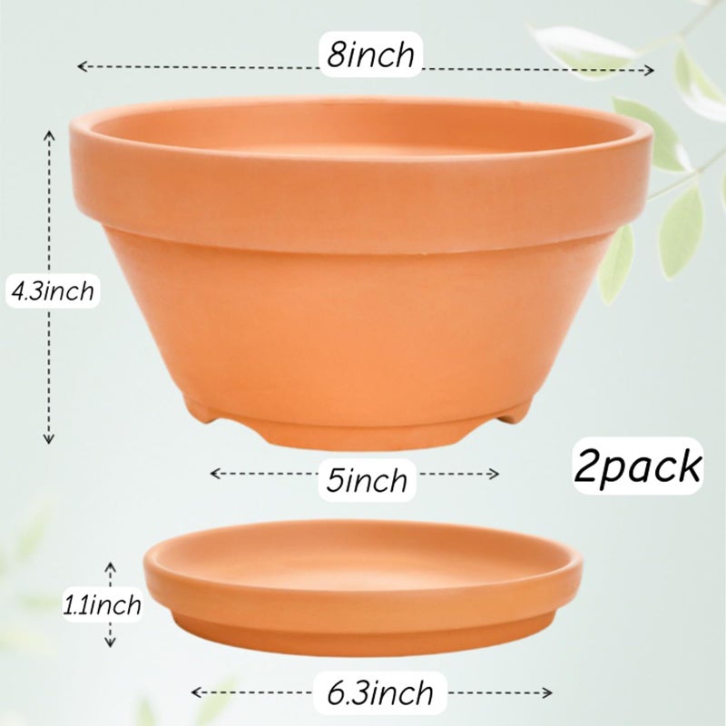 Mezchi 2 Pack 8 Inch Shallow Succulent Terracotta Pots with Drainage Hole and Saucer, Clay Plant Pots for Indoor and Outdoor Planter, Bowl Planter for Orchid, Cactus, Flowers - Image 3