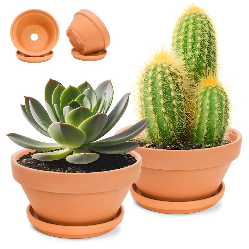 Mezchi 2 Pack 8 Inch Shallow Succulent Terracotta Pots with Drainage Hole and Saucer, Clay Plant Pots for Indoor and Outdoor Planter, Bowl Planter for Orchid, Cactus, Flowers - Image 1