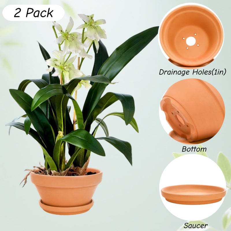 Mezchi 2 Pack 8 Inch Shallow Succulent Terracotta Pots with Drainage Hole and Saucer, Clay Plant Pots for Indoor and Outdoor Planter, Bowl Planter for Orchid, Cactus, Flowers - Image 5