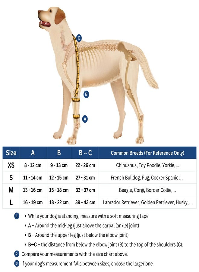 Fico Dog Elbow Brace for Front Left Leg - Elbow Dysplasia & Arthritis Support, Vet Approved, Adjustable with Removable Splints, Orthopedic Dog Shoulder Brace for Injuries & Recovery (X Small) - Image 2